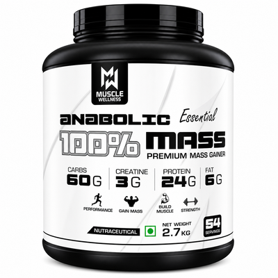 Mass Gainers